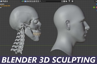 sculpt realistic bust model, head or anatomy in blender