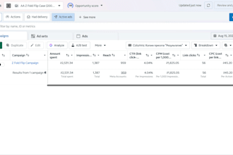 manage your meta or google ads