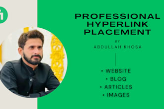 add hyperlink to websites, blogs, articles, and images