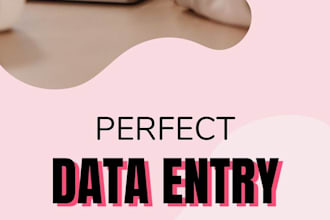 do professional excel data entry and create income tracking sheets