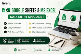 do professional data entry copy paste and web research work