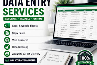 do accurate data entry, excel, copy paste and web research