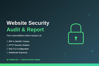 perform a website security audit and find vulnerabilities