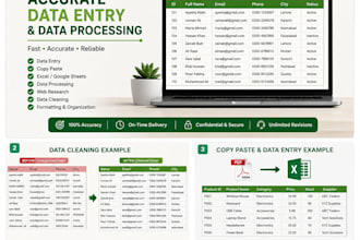 do accurate data entry and data processing