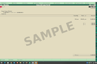 do tally prime bookkeeping, accounting ,and gst data entries