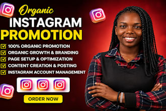 do instagram promotion for organic growth