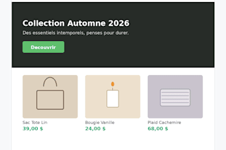 design shopify store graphics and product visuals