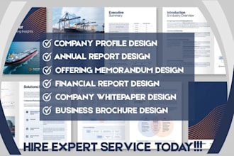 design financial investment summary, executive summary and financial report