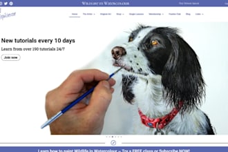 design wix painting artist website artist website painter website