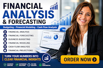 financial analysis forecasting planning modelling budgeting  cash flow analysis