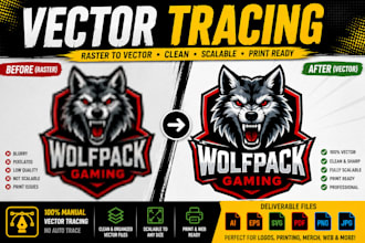 do vector tracing, vectorize image, vector line art, logo design, vector cleanup