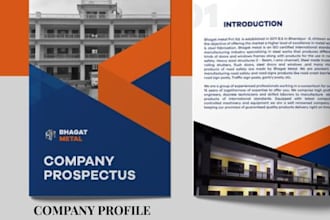 design  financial investment summary, company profile presentation for investors