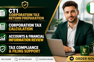 file irish ct1 corporation tax return for limited companies