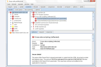 do web penetration testing