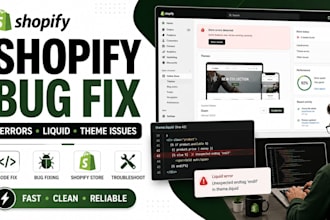 fix shopify bugs, errors, issues and store problems