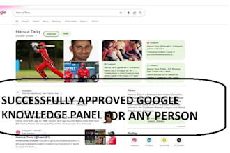 build a standard google panel, knowledge graph for person, brand, individual