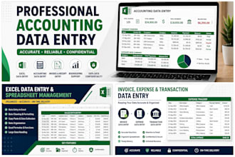 do accounting data entry, excel and accounts reconciliation