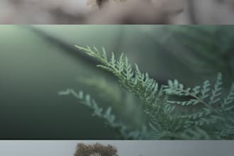 professional photo editing and retouching