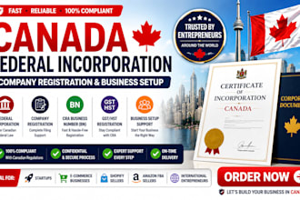 do canada federal incorporation company registration canada business setup