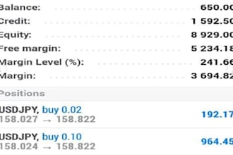 provide professional forex market analysis and trading insights