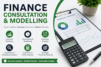 do financial consultation and modelling, financial audit