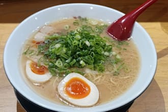 support for trips to japan