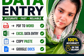 do accurate data entry, copy paste and excel data entry