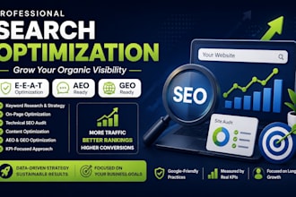 do professional SEO for your website