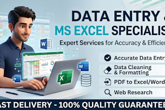 do accurate data entry ms excel ms word typing work