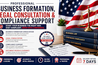 provide professional business formation legal consultation and compliance