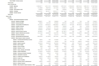manage your accounting, bookkeeping, and tax filing