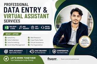do professional data entry web research and excel data entry