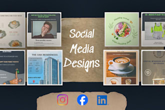 design professional canva social media posts
