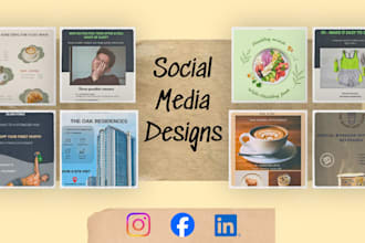 design professional canva social media posts