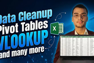 do excel database entry, cleanup, and organization