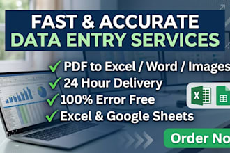 do fast and error free data entry, typing and spreadsheet work