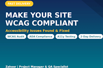 test your website accessibility and provide a wcag audit