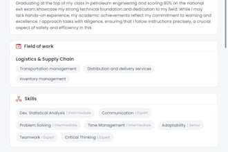 do translation and website building