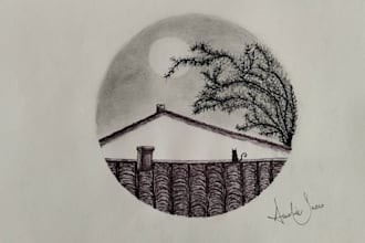 draw book covers and illustrations