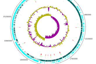 do analyse next generation sequence data