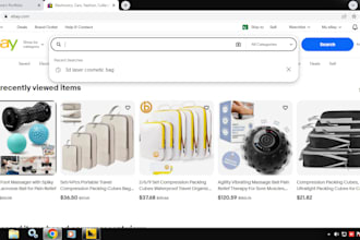 setup a professional ebay store for you