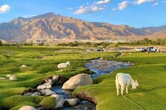 be your expert tour guide in afghanistan