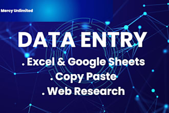 do professional excel data entry and copy paste work