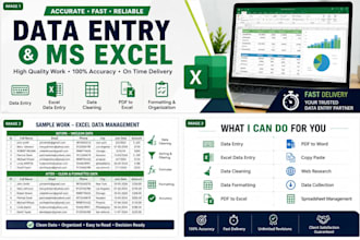 data entry, data cleaning, excel