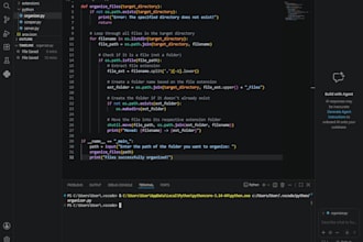 write custom python automation scripts and file organizers