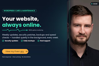 do everyday wordpress maintainance