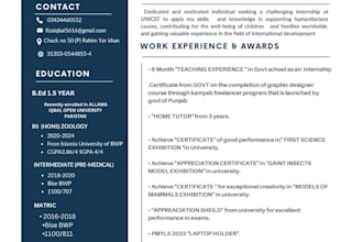 design a professional CV that stands out
