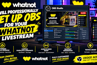 professionally set up obs for your whatnot livestream