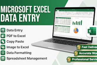do fast and accurate microsoft excel data entry