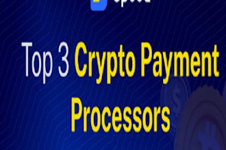 create a 2d, 3d payment link, payment processor with zero chargebacks